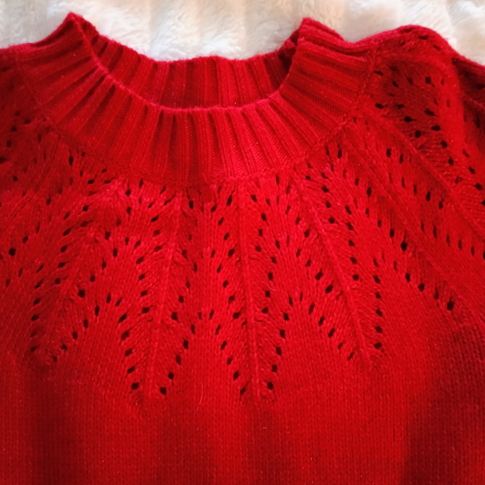 Unworn Cat And Jack Holiday Dress